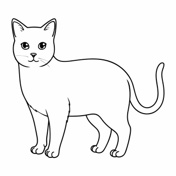 1 (3355).png